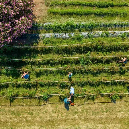 Labranda Lebedos Princess 4*