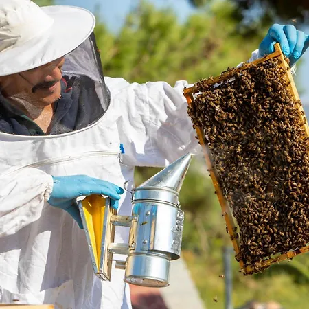 Labranda Lebedos Princess فندق سفيريهيسار