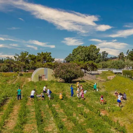 Labranda Lebedos Princess فندق سفيريهيسار