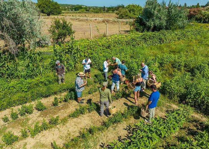 Labranda Lebedos Princess Otel Seferihisar