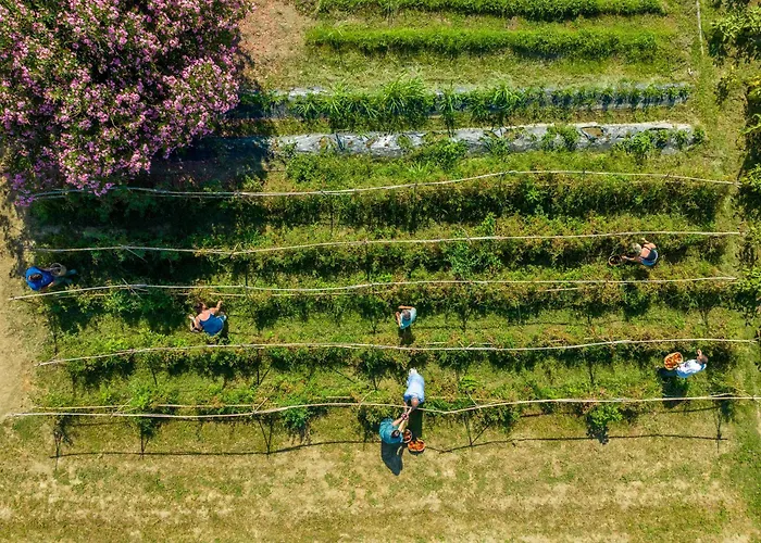 Labranda Lebedos Princess 4*