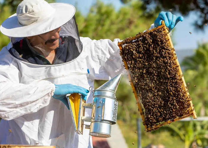 Labranda Lebedos Princess Otel Seferihisar