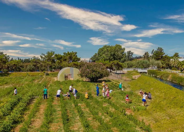 Labranda Lebedos Princess Otel Seferihisar