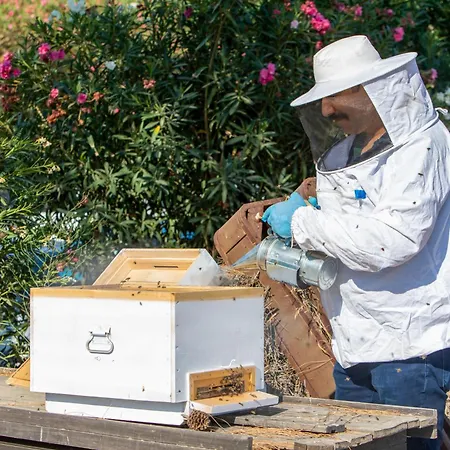 Hotel Labranda Lebedos Princess Seferihisar