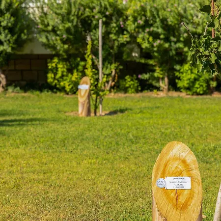 Hotel Labranda Lebedos Princess