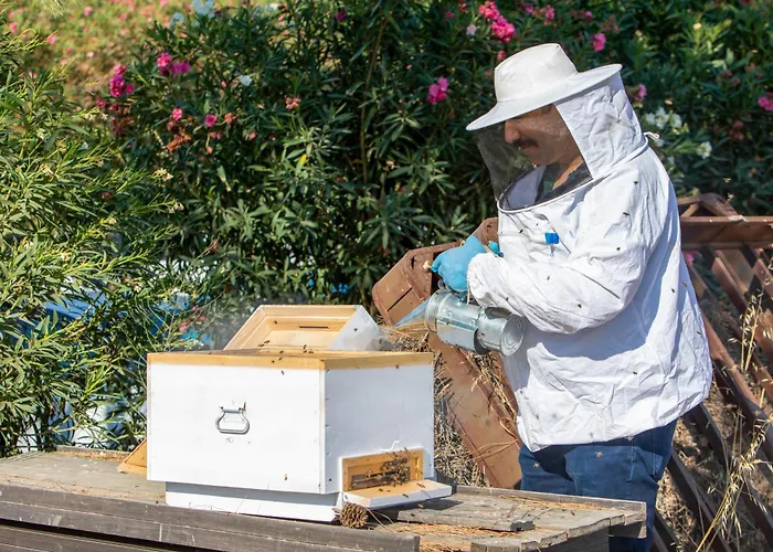 Hotel Labranda Lebedos Princess Seferihisar